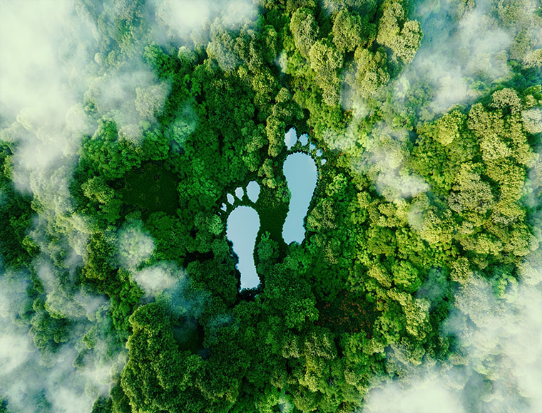 Rapportage CO2 Footprint