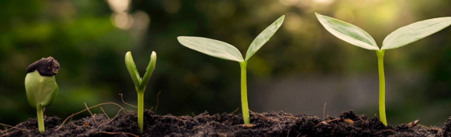 Duurzaamheid bij WTH